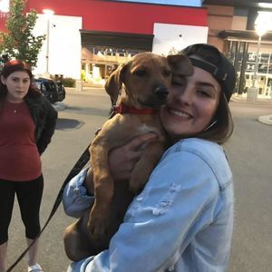 Meet your Posher, Kira